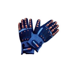 palmpro